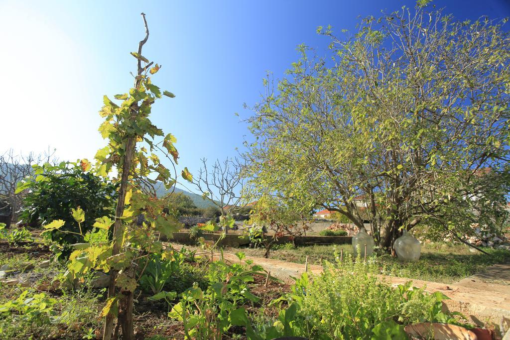 Holiday Home Paric Vela Luka Extérieur photo